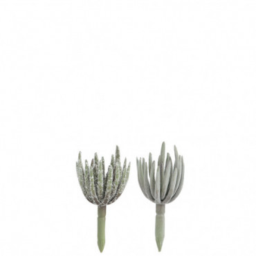 Plante Grasse Echeveria Plastique Vert Petit