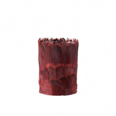 Photophore Plumes Verre Bordeaux Grand