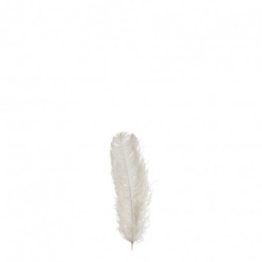 Plume D'Autruche 1 Partie Creme