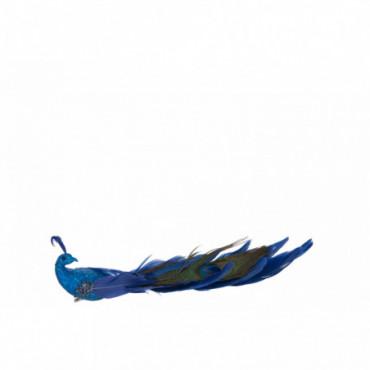 Paon+ Clip Paillettes Polyfoam/Plumes Bleu