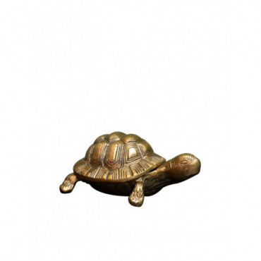 Boîte tortue