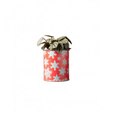 Cache pot patine zinc rouge et flocons