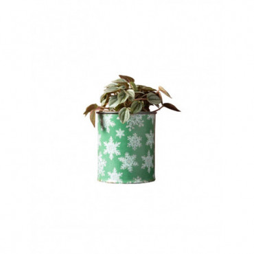 Cache pot patine zinc vert et flocons