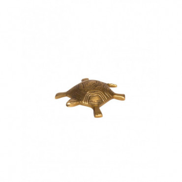 Petite tortue et miroir