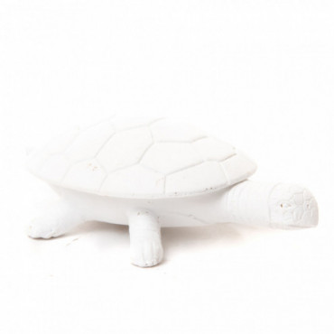 Boite Tortue Blanche