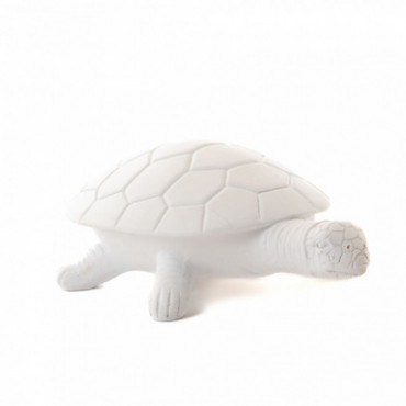 Tortue Blanche