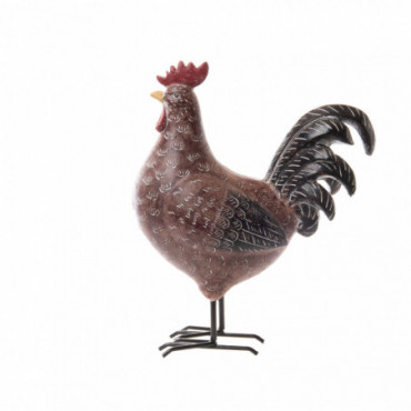 Coq Claude H29