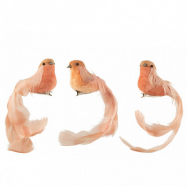 Oiseau + Clip Plumes Saumon x3