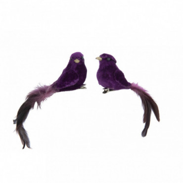 Oiseau + Clip Polyfoam/Plumes Mauve x2