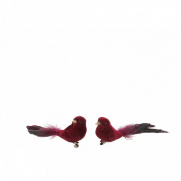 Oiseau + Clip Velours Bordeaux x2