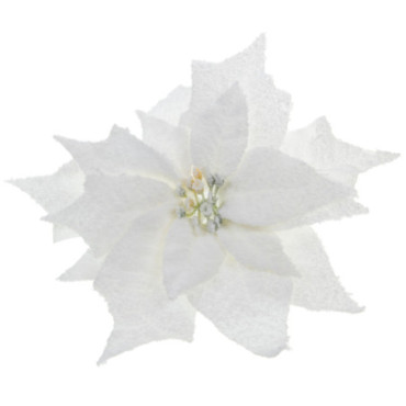 Poinsettia Etoile Clip D25 Nei