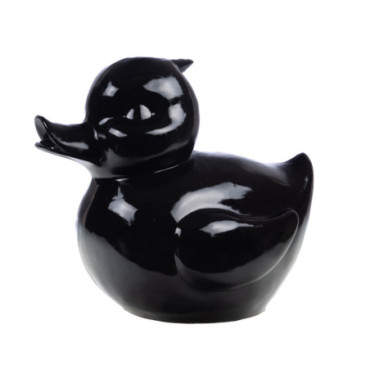 Canard Noir Brillant S