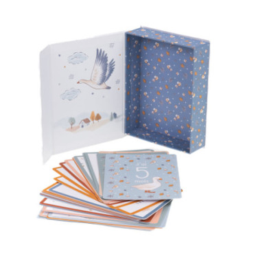 Cartes Etapes Bebe Louison