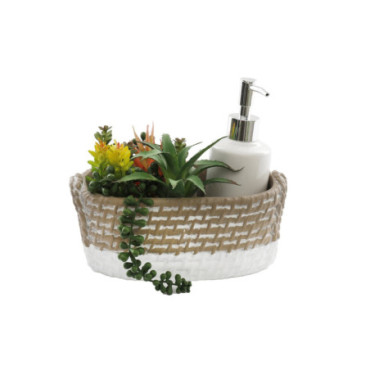 Plateau distributeur de savon avec succulentes