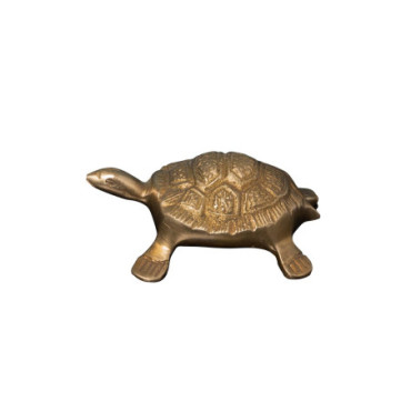 Décapsuleur tortue