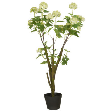 Buisson boule de neige en pot 104cm