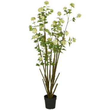 Buisson boule de neige en pot 184cm