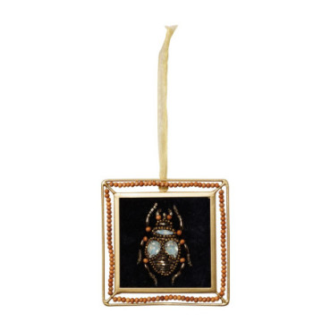 Cadre Insecte Ornement Bijoux Bois