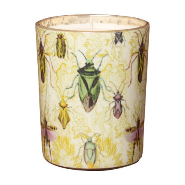 Bougie Motifs Insects