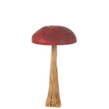 Champignon Bois Rouge / Naturel Large