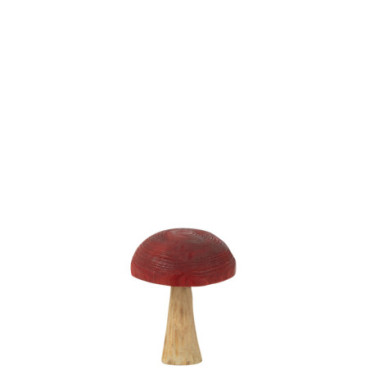 Champignon Bois Rouge / Naturel S