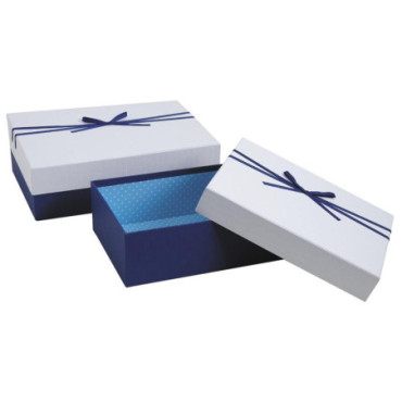 Boites cadeaux bleues et blanches