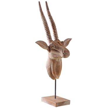 Trophée d'antilope