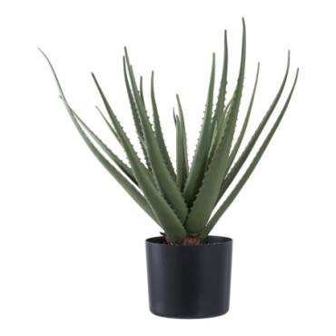 Aloe Vera Artificielle