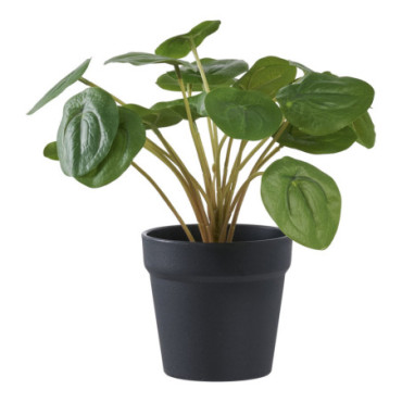 Plante artificielle verte Pelia 28 cm