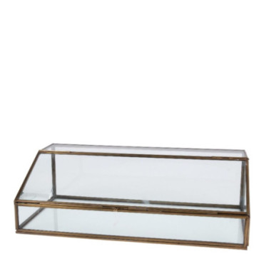 Vitrine H.16X50X25,5 cm