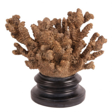 Corail Sur Socle 22 cm