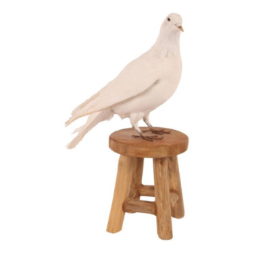 Pigeon sur tabouret 20 cm