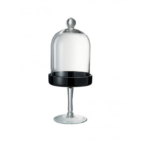 Cloche de verre sur pied Transparent