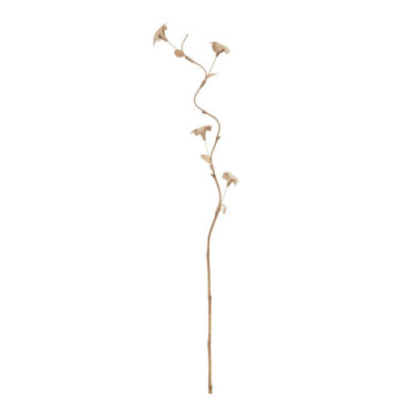 Branche Fleur Beige Fibre Naturelle 27x27x170cm