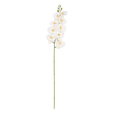 Fleur Orchidée Blanc Gomme Décoration 96cm