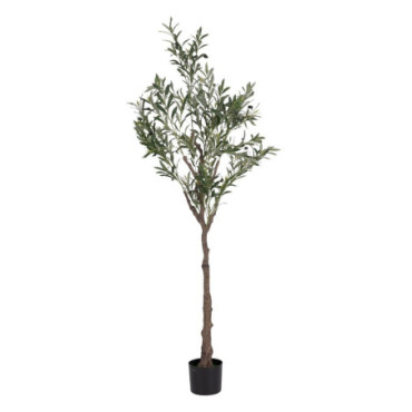 Plante Arbre Olive Vert Pvc - Tissulaire Jardin 180cm