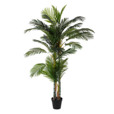 Plante Areca Palmier Vert 100x130x210cm