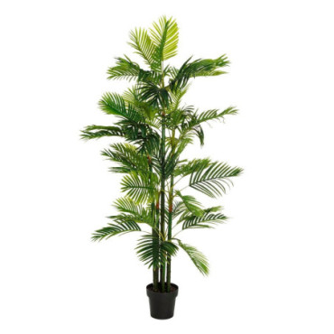 Plante Areca Palmier Vert 170cm