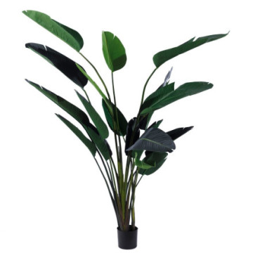 Plante Ave Du Paradis Vert Pvc 245cm