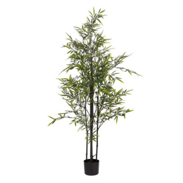 Plante Bambou Vert Tissu - Bois Jardin 160cm