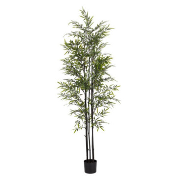 Plante Bambou Vert Tissu - Bois Jardin 210cm