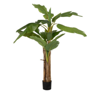 Plante Bananier Vert Gomme Décoration 200cm