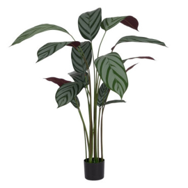 Plante Bordeaux - Vert Pvc - Tissulaire 150cm