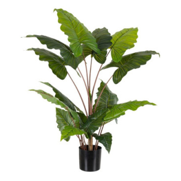 Plante Colocasia Vert Décoration 130cm