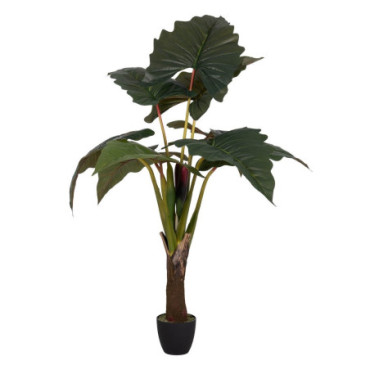 Plante Colocasia Vert Polyethylene 165cm