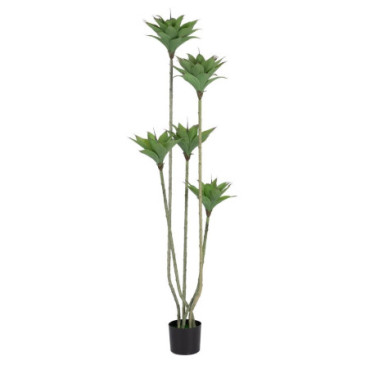 Plante Désert Vert Pvc Jardin 170cm