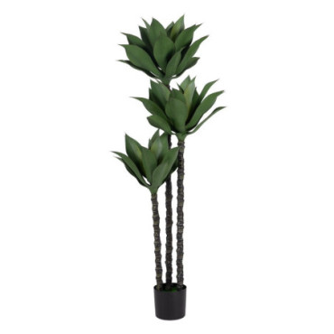 Plante Désert Vert Pvc Jardin 175cm