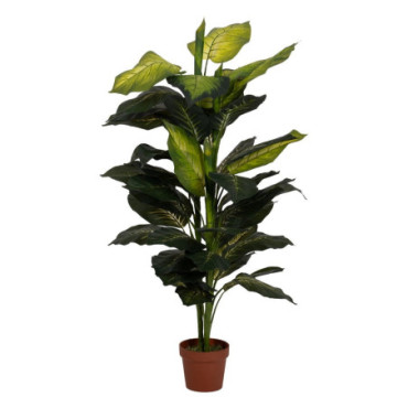 Plante Diefembaquia Vert Polyethylene 135cm