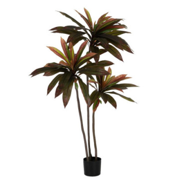 Plante Dracaena Rouge Gomme Décoration 165cm