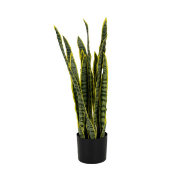 Plante Dracaena Vert - Jaune Gomme 80cm